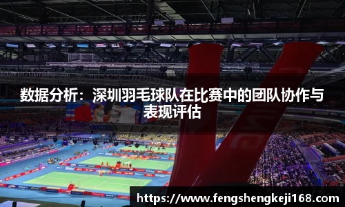数据分析：深圳羽毛球队在比赛中的团队协作与表现评估